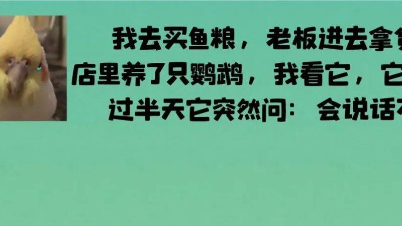 出口级蜜饯果干零食代工：揭秘行业报价背后的秘密