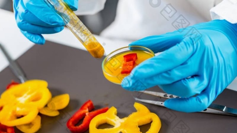 揭秘杭州临安蜜饯果干：传统工艺与现代标准的完美融合